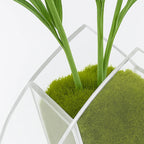 Vaso Planta Flor Acrílico Cristal Decorativo Sala Escritório