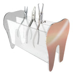 Porta Alicate Dentista Acrílico Suporte Instrumentos