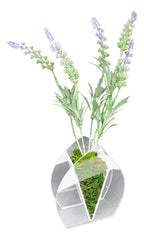 Vaso Planta Acrilico Colecao Paises