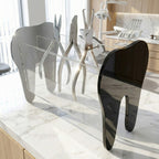 Porta Alicate Dentista Acrílico Suporte Instrumentos