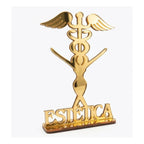 Emblema Profissões Faculdade Homenagem Dourado
