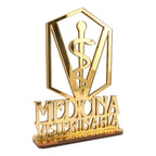 Emblema Profissões Faculdade Homenagem Dourado